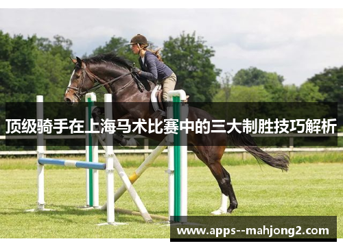 顶级骑手在上海马术比赛中的三大制胜技巧解析